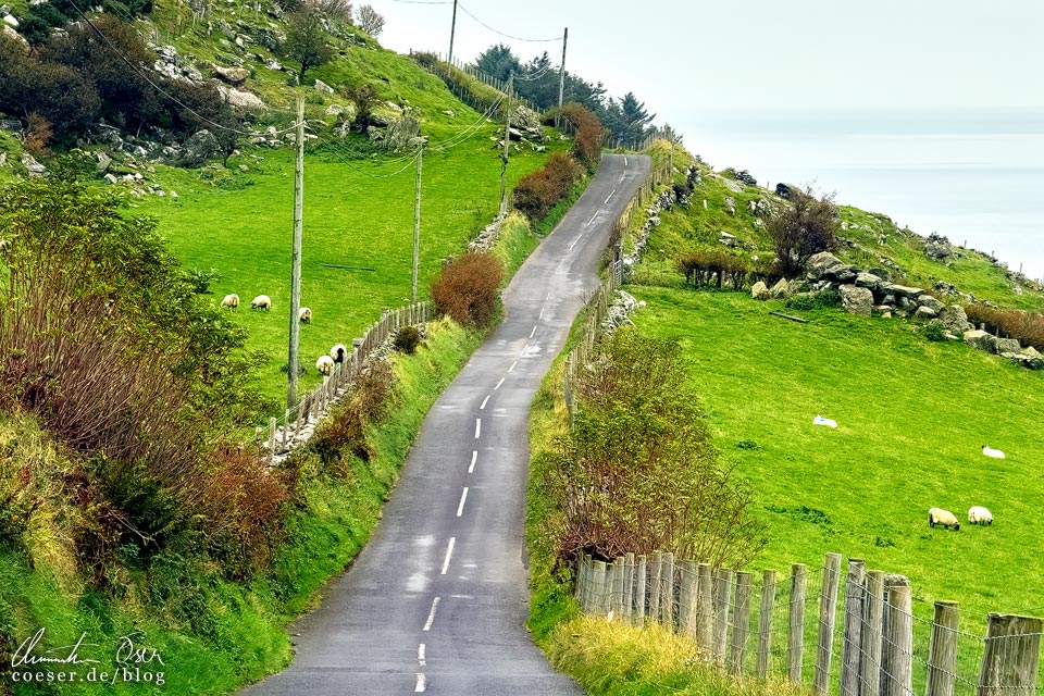 Torr Head Scenic Route entlang der Causeway Coastal Route in Nordirland