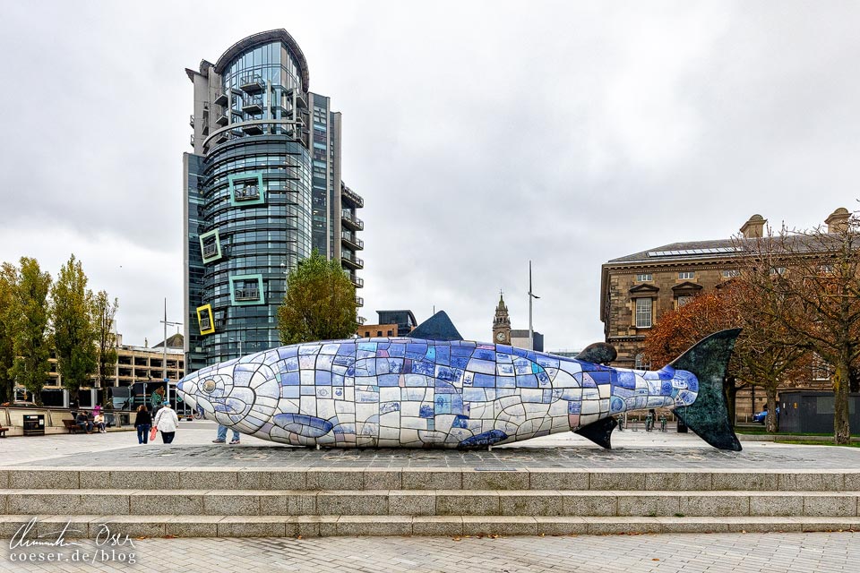 Skulptur The Salmon of Knowledge (The Big Fish) in Belfast