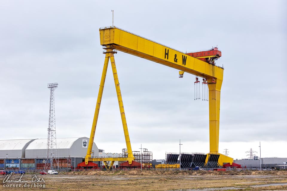 Zwillingskräne Samson and Goliath in Belfast