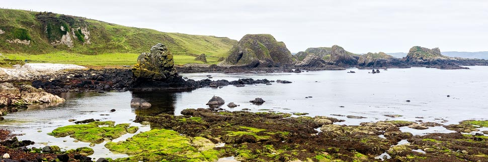 Küstenlandschaft am Ballintoy Harbour an der Causeway Coastal Route, Nordirland