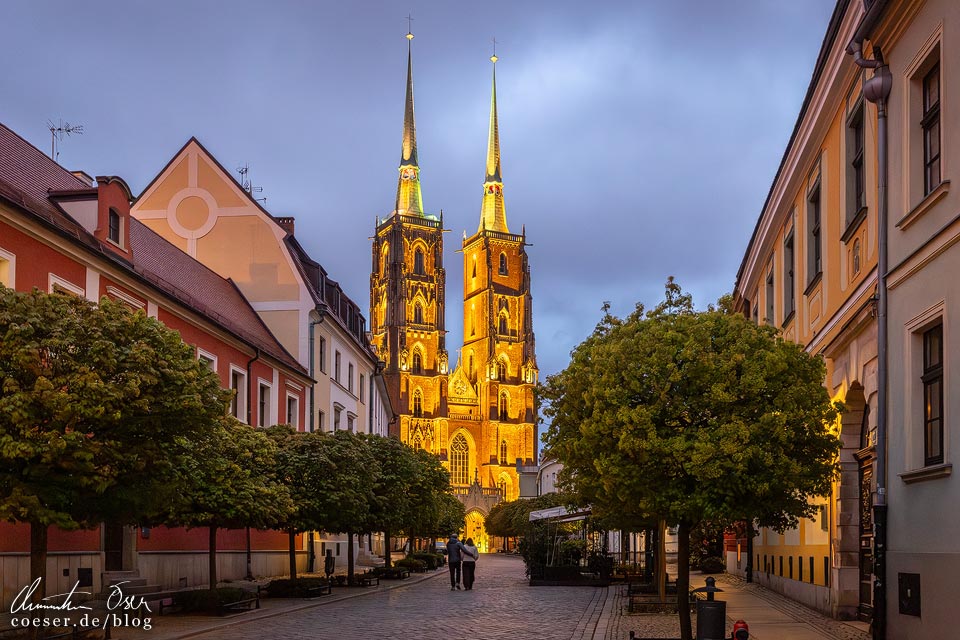 Die Kathedrale (Breslauer Dom) in der blauen Stunde in Wrocław/Breslau, Polen