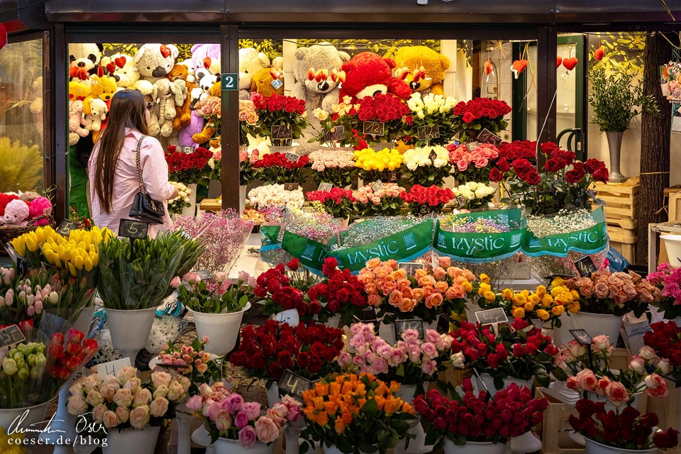Blumenmarkt auf dem Plac Solny (Salzmarkt) in Breslau/Wrocław, Polen