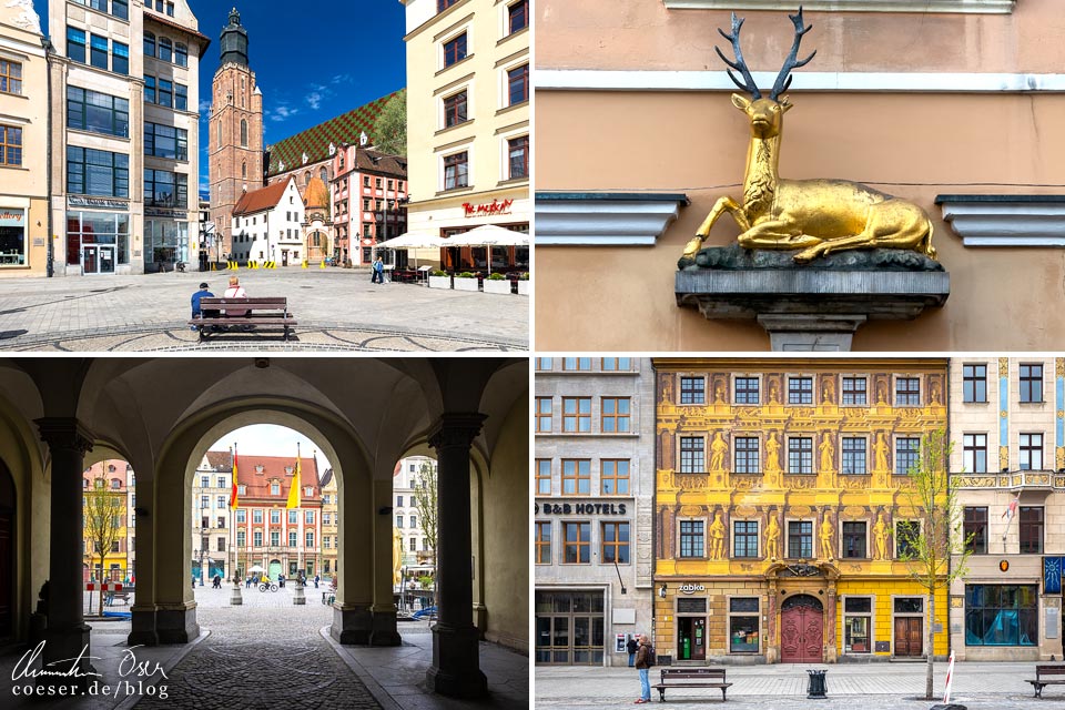 Marktplatz Rynek in Breslau: Hänsel und Gretel, Goldener Hirsch, enge Gassen und Wandgemälde mit Kurfürsten in Wrocław, Polen