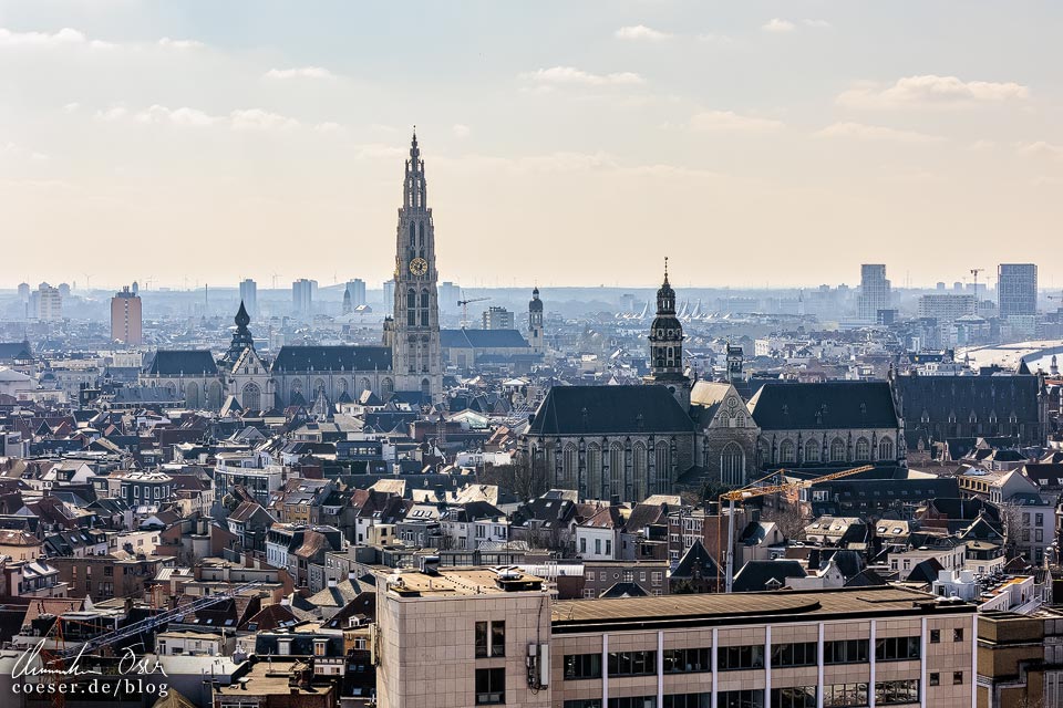 Aussicht vom MAS (Museum aan de Stroom) auf die Liebfrauenkathedrale und die Sankt Pauluskirche in Antwerpen