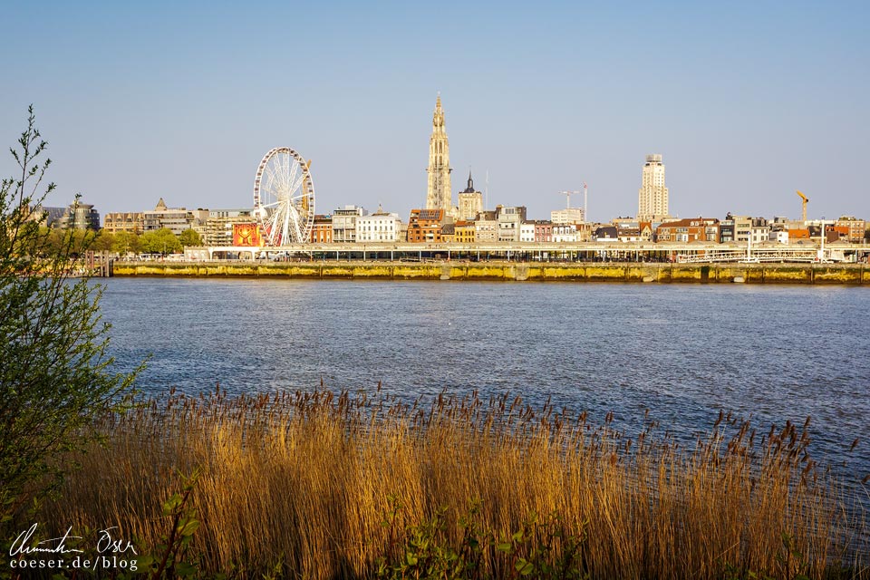 Blick vom anderen Ufer des Sint-Annatunnels auf Antwerpen