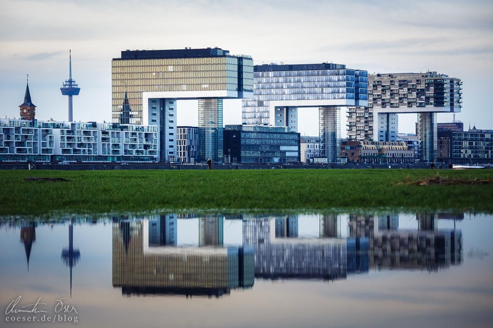 Spiegelung der Kranhäuser im Rheinauhafen, gesehen vom Aussichtspunkt Rheinboulevard/Poller Wiesen in Köln