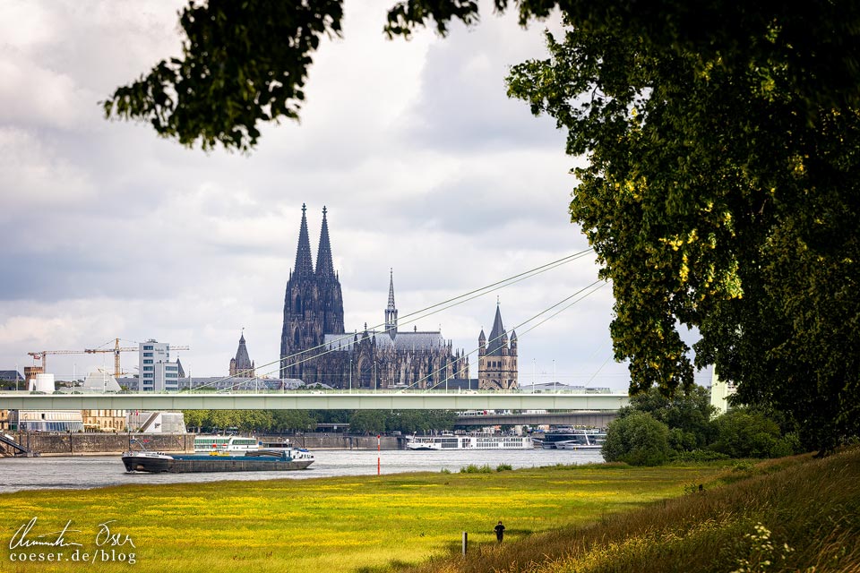 Aussichtspunkt Rheinboulevard/Poller Wiesen mit Blick auf den Kölner Dom