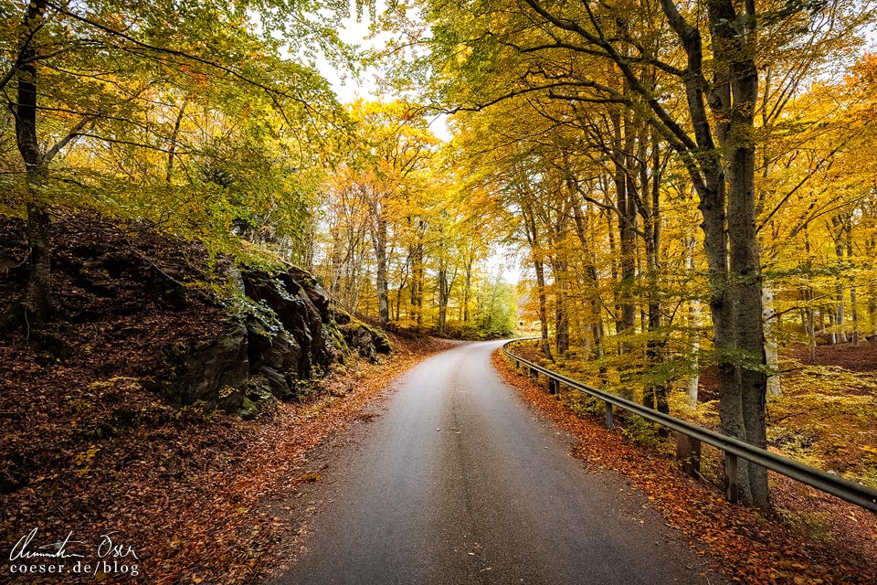 Schmale Straße durch eine herbstliche Landschaft in der schwedischen Region Bohuslän