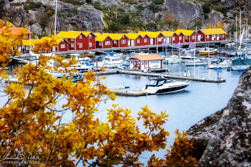 Rote Fischerhäuschen im Herbst im Ort Grebbestad in der schwedischen Provinz Bohuslän