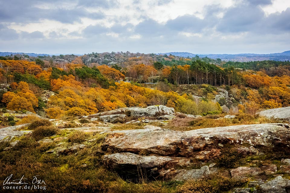 Herbstliche Landschaft rund um den Skulpturenpark Pilane in der schwedischen Provinz Bohuslän