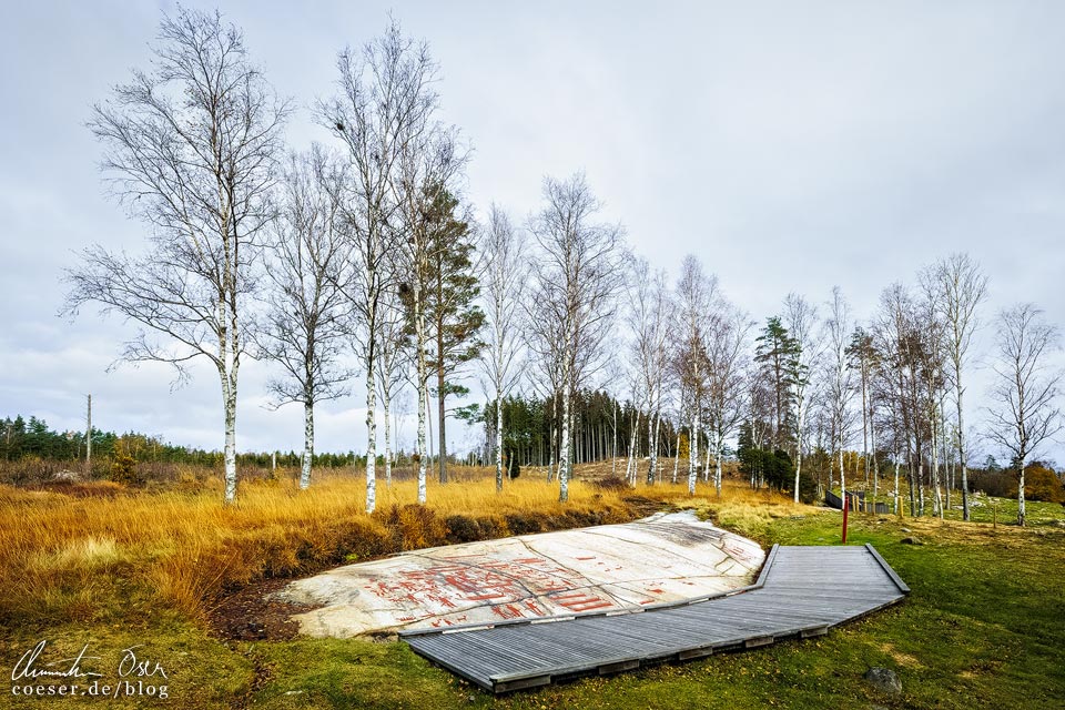 Die Felsritzungen von Tanum in der schwedischen Provinz Bohuslän