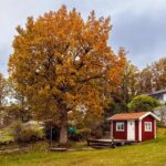 Saunahütte der privaten Schwedenhütte mit Seezugang in Lysekil (Provinz Bohuslän)