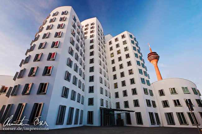 Die Gehry-Gebäude im Medienhafen und im Hintergrund der Rheinturm in Düsseldorf, Deutschland.