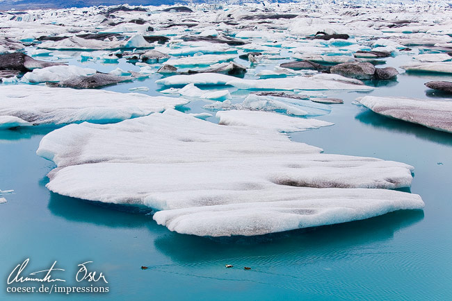 Schwimmende Eisschollen in der riesigen Gletscherwelt Jökulsarlon in Island.