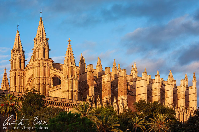 Die Sonne beleuchtet die Kathedrale der Heiligen Maria (La Seu) in warmen Farben in Palma de Mallorca, Spanien.