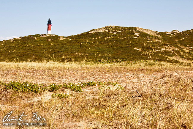 Der Leuchtturm von Hörnum auf der Insel Sylt, Deutschland.