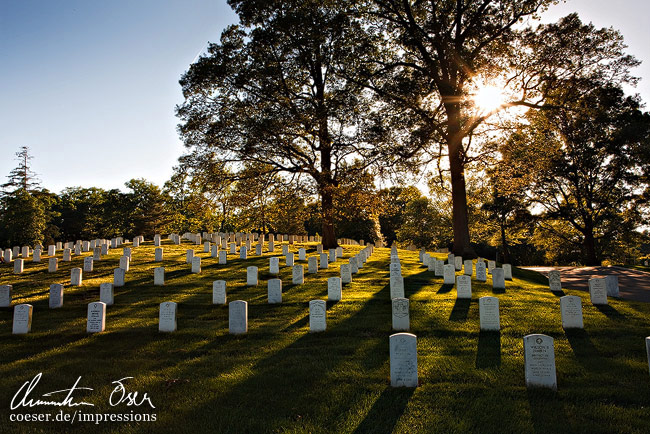 Sonnenstrahlen scheinen durch Bäume am Nationalfriedhof Arlington in Washington, USA.