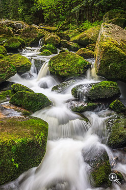 Nature Photography by Christian Öser