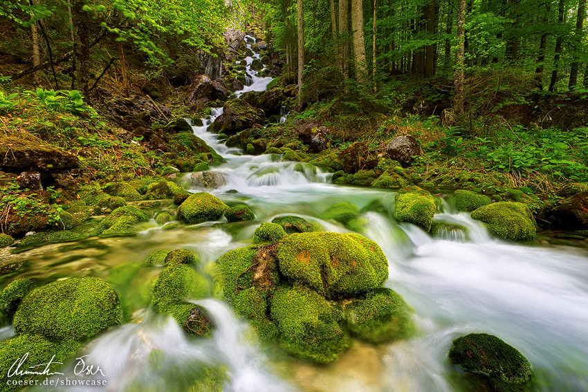 Fluss im Wald bei der Kläfferquelle in Weichselboden, Wildalpen, Österreich.