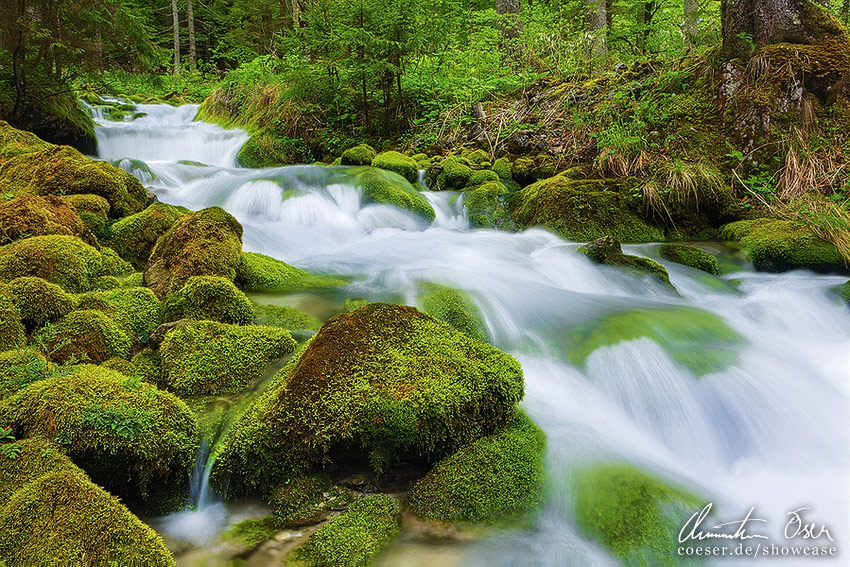 Fluss im Wald bei der Kläfferquelle in Weichselboden, Wildalpen, Österreich.