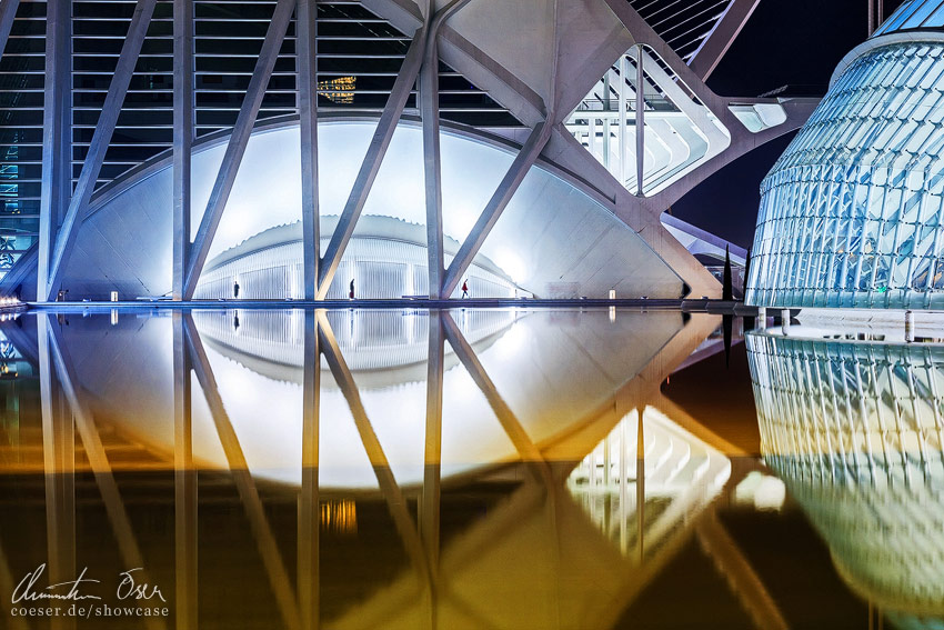 Moderne Architektur des Gebäudes Wissenschaftsmuseum (Museu de les Ciencies PrÃncipe Felipe) in der Stadt der Künste und Wissenschaften in Valencia, Spanien.